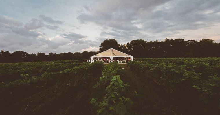 Vineyard Venue